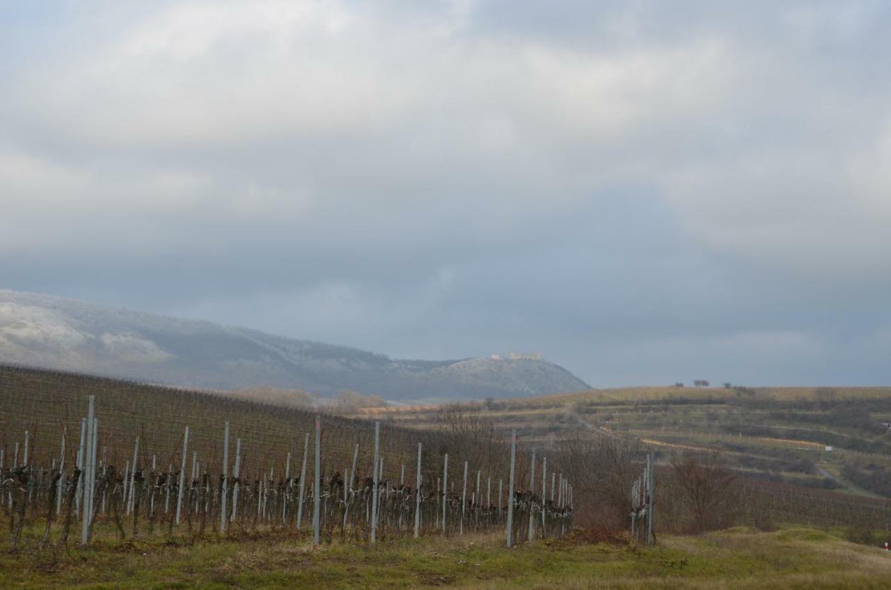 Penzion U Zabaka Mikulov Bagian luar foto